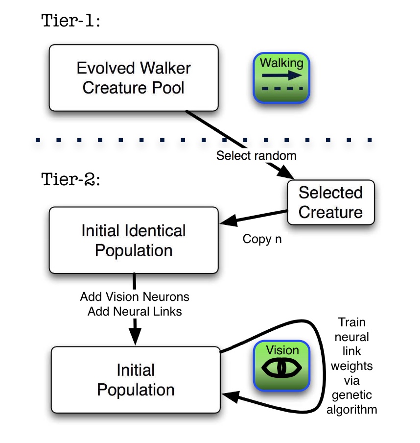 Evolution of Vision Capabilities in Embodied Virtual Creatures